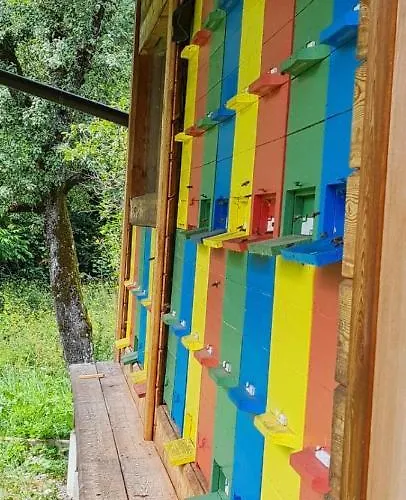 Nona Bb Bed and breakfast *